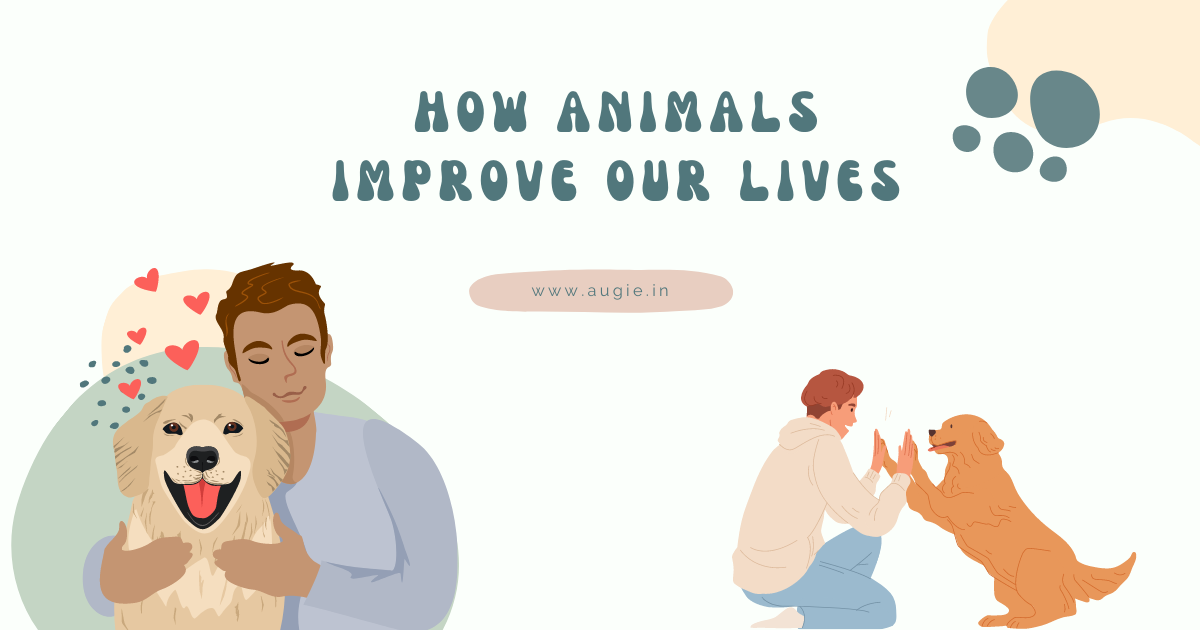 Benefits Of Pets | How Do Pets Help Humans | How Animals Improve Our Lives  | Augie - Blogs